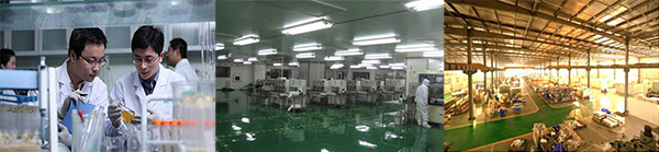 香港正能量，光導(dǎo)照明專業(yè)供應(yīng)商，8年專注